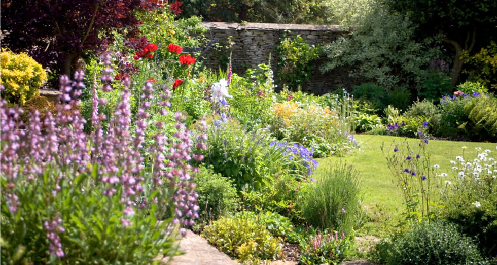 English garden in summer
