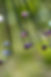 IMG_5413.jpg