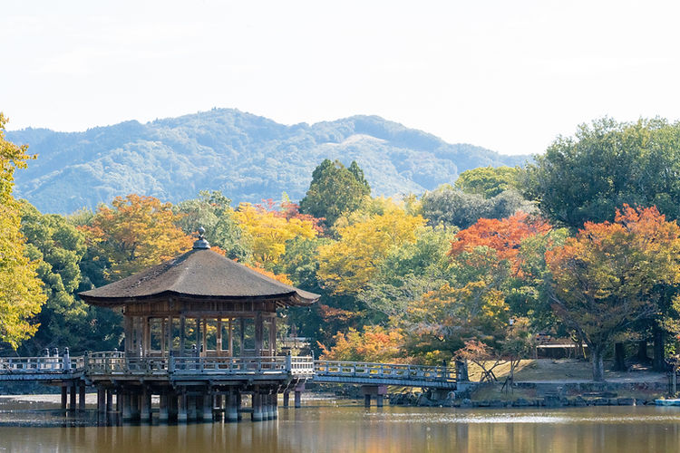 t_kohei-nara-7561425.jpg