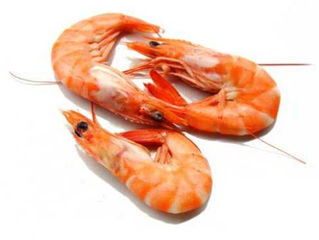 Benarkah Makan Seafood + Es Jeruk (Vitamin C) dapat Menyebabkan Kematian?