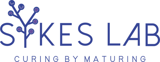 Sykes-Lab-Logo-dbs-mod.png