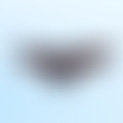 The Indian Flying Fox (Pteropus medius)