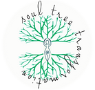 STT Logo Fade.png