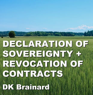 Declaration of Sovereignty.jpg