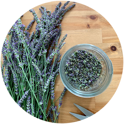 Lavender Oil Process.png
