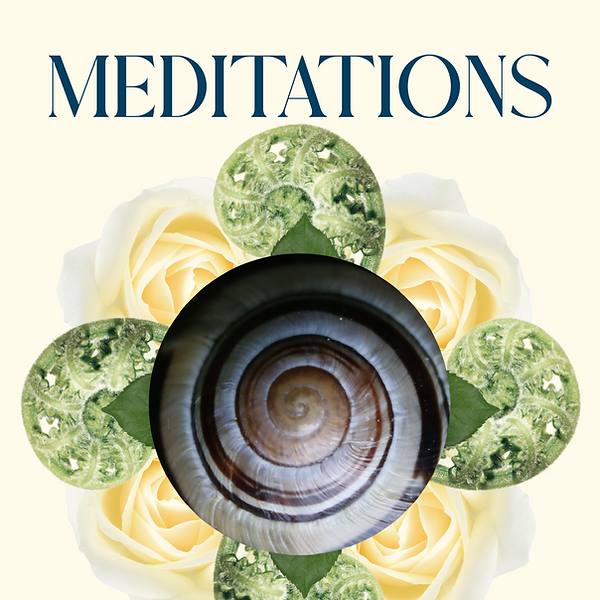 Meditations service.png