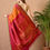 Thumbnail: GADWALL SILKSAREE