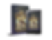Whispers of Shadows and Gold