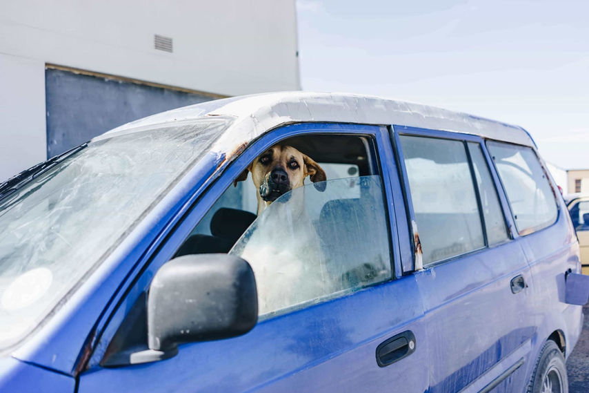 Copyright-Angela-M-Schlabitz-2020-aBitze-Fotoartist-Photographer-travel-Streetphotography-