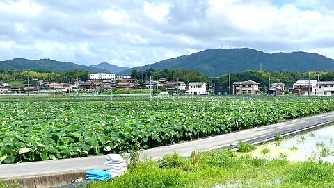 S__8781838_edited.jpg