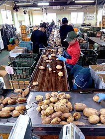 7598_0_edited_edited.jpg