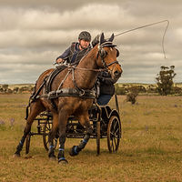 Goyder Covid Challenge - Marathon-22.jpg