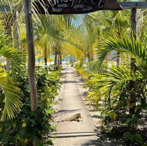 283879131_865152604443902_4056466936605349632_n (1).jpeg