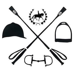 Port Macquarie Horse Riding Centre