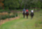 Port Macquarie Horse Riding Lessons
