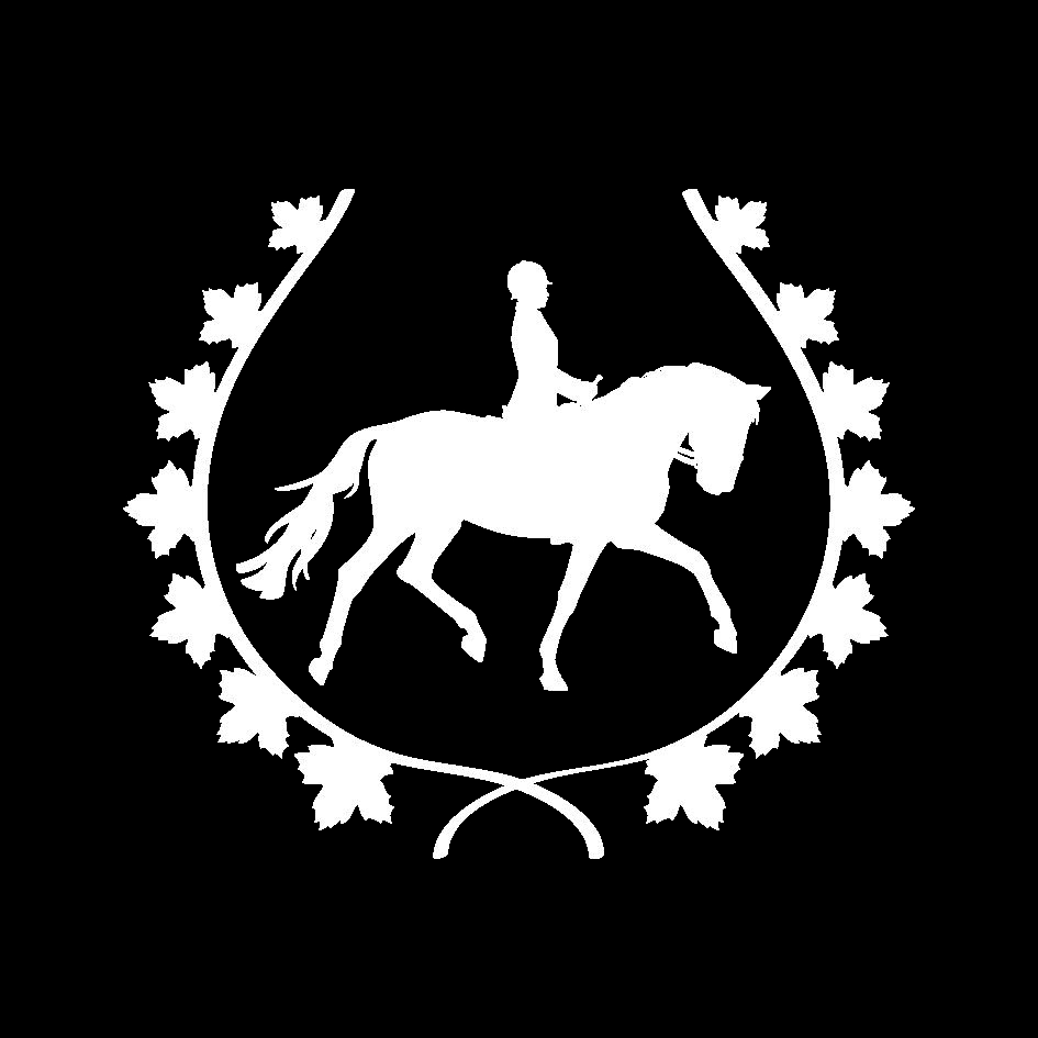 Port Macquarie Horse Riding Centre