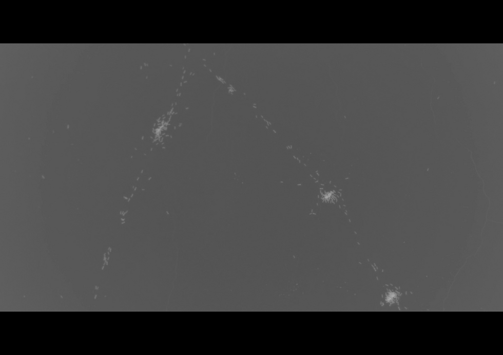 MVI_9139.00_00_48_16.Still001.png