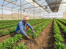 Deficit Irrigation Techniques: Managing Water Stress for Higher Efficiency and Better Returns