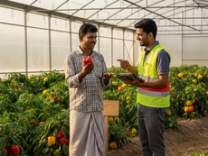 Yield Assessment Systems: Understanding the Real Story Behind Farm Yields