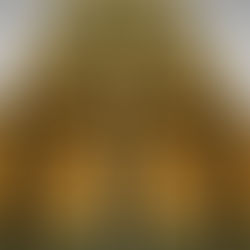 L'or, les tulipes, le Bitcoin et l'économiste