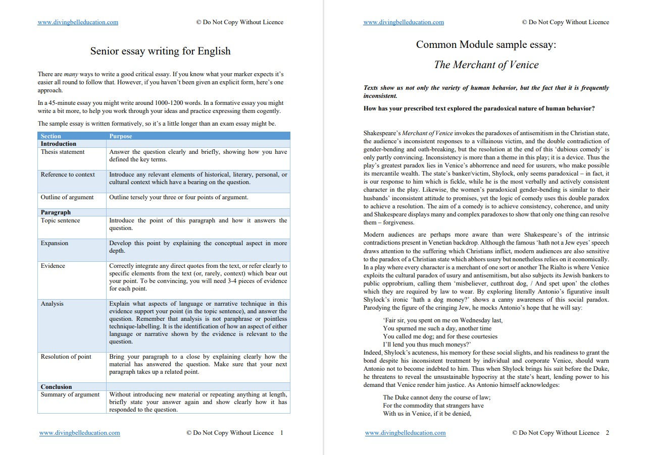 Bundle: Merchant of Venice essay, Talking Points, and revision questions