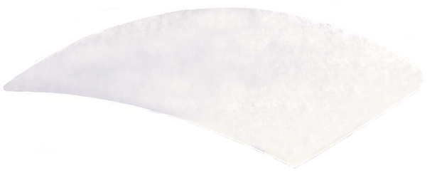 siipi ilman taustaa_edited_edited.png