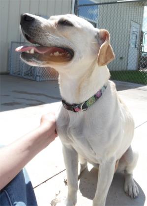 daisymae