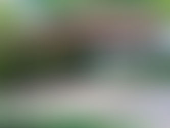 Realizzazione di una struttura di copertura in acciaio zincato e telo in PVC