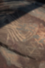 coleção registros (272).jpg