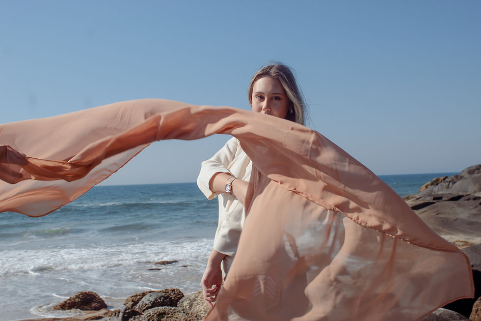 coleção registros iriar209