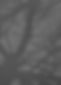 112122_edited.jpg