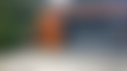 Transform Your Garden for 2025: Top Landscaping Trends