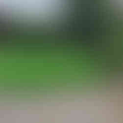 New artificial grass lawn laid in Stafford