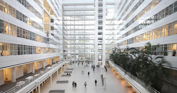 Gemeente-Den-Haag-1200x630-c-default.jpg