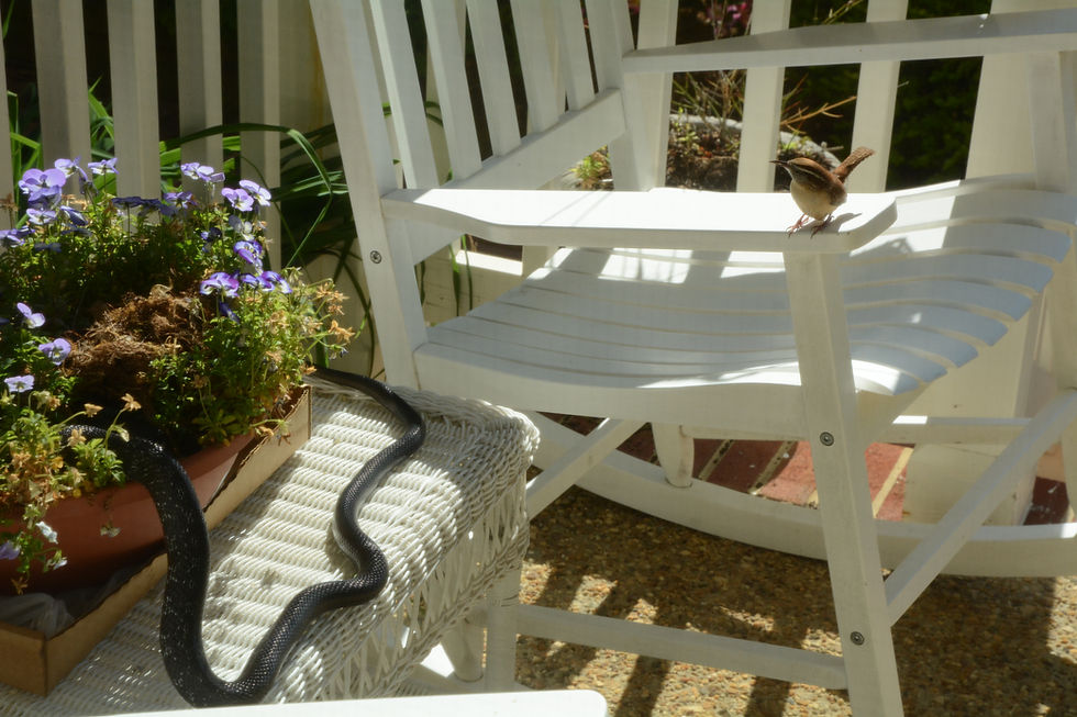 DSC_0724