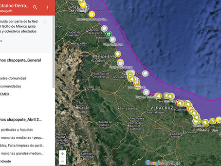 El derrame de crudo ha afectado a la biodiversidad y a las comunidades de toda la costa de Tabasco, Veracruz y Tamaulipas