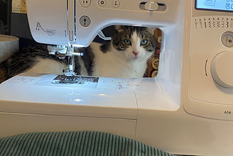IMG_6092.jpeg