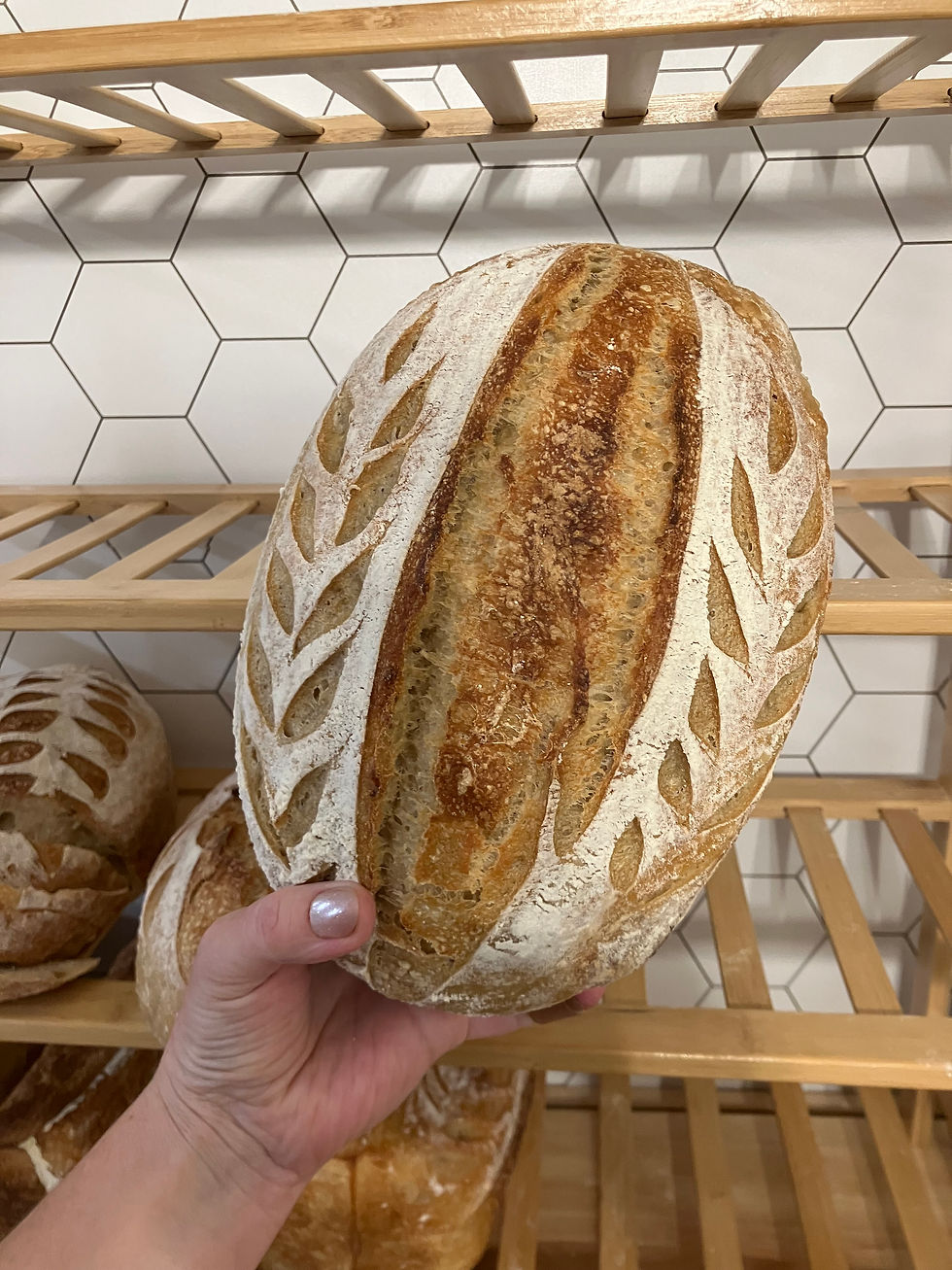 Organic Freshly Milled Sourdough Bread | Mountain Home Arkansas| Bread of Life Mill & Bakery