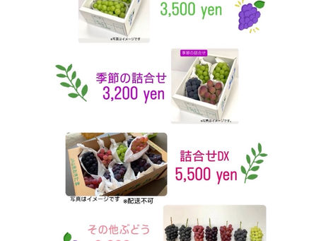 R7年度の予約・販売について