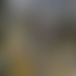 MFR 2ème Journée le 12 Mars 2026