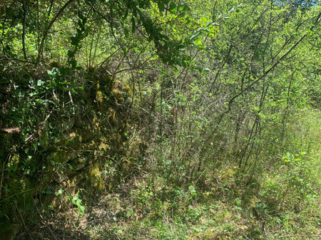 img_3707.jpeg