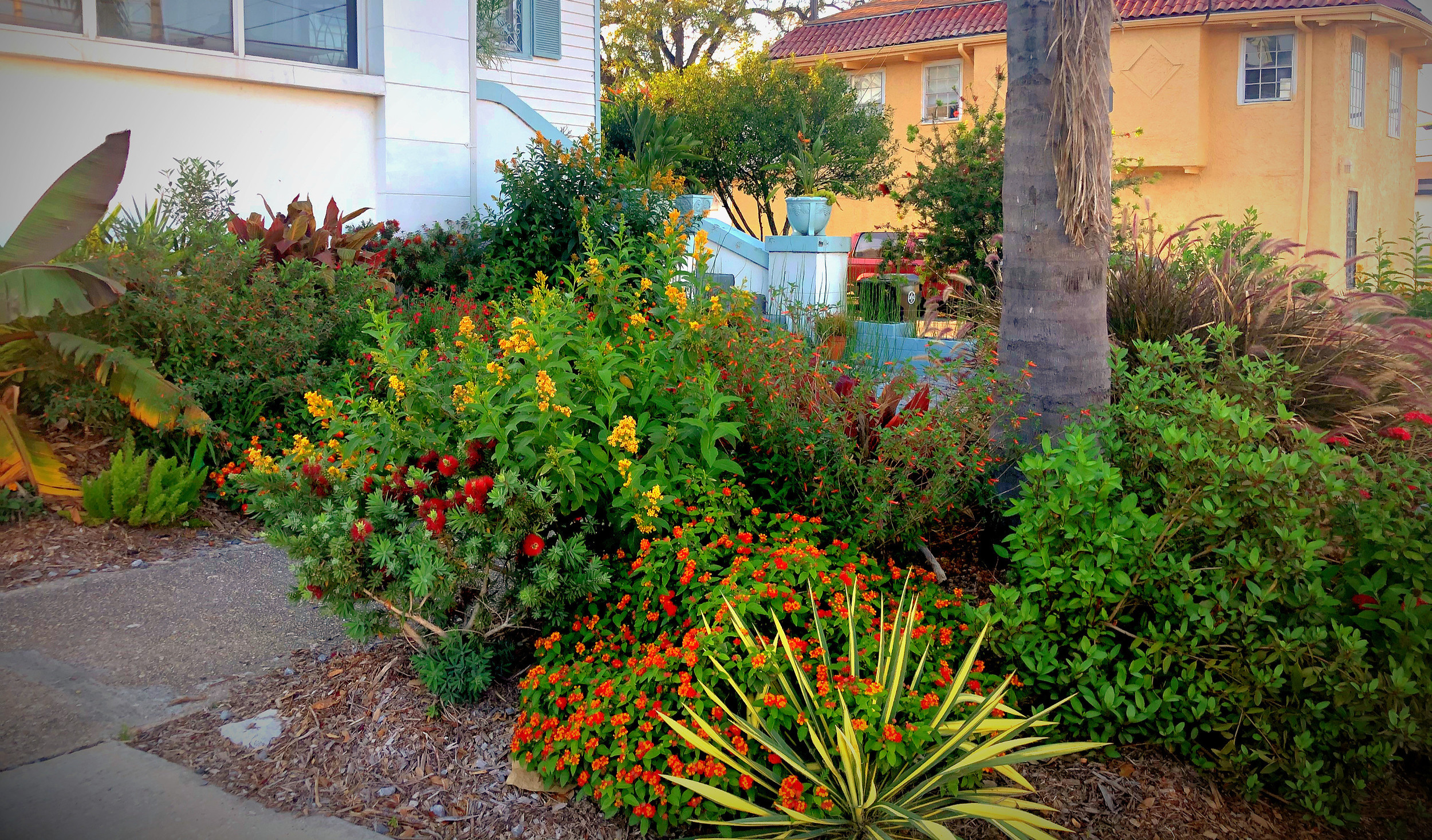 Garden Design Organic Ladnscaping New Orleans Fig Tree Landscapes