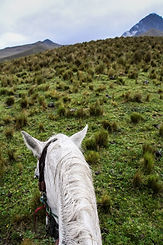 Ecuador Travelogue_ Cotopaxi - Katie at the Kitchen Door.jpg