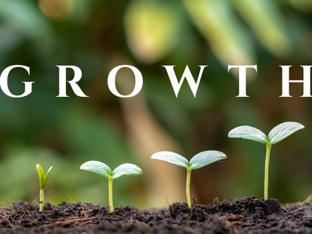 Nurturing Growth: Cultivating Habits That Help You Thrive