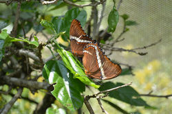 Botanic Garden Calarca