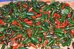 Jalapeños in Palacio del Barbas