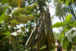 Canopy Quindío