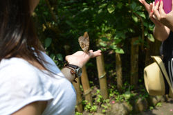 Botanic Garden Calarca
