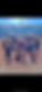 IMG_1624.PNG