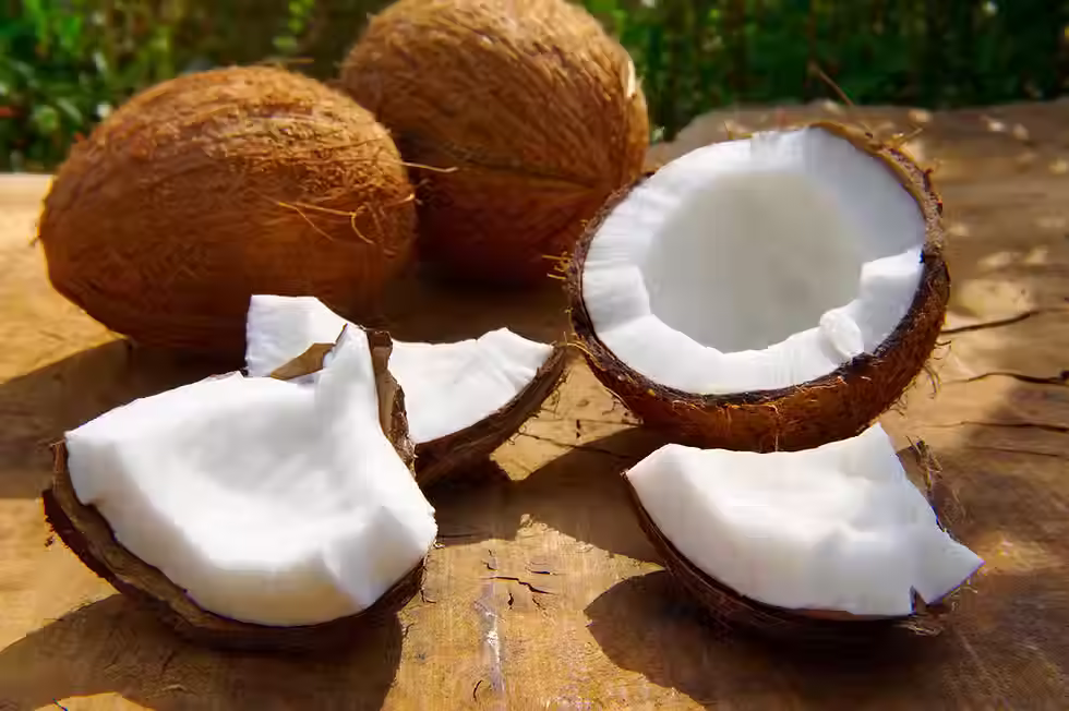 Coconut Milk Powder